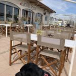 Mit Hund in der Strandbar