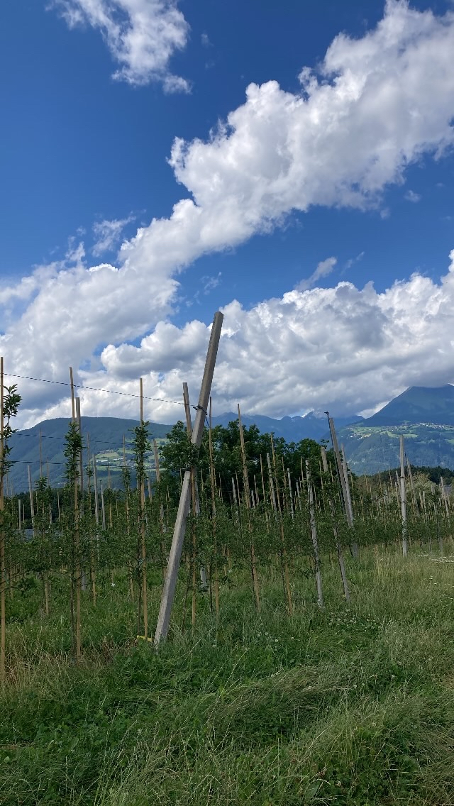 Zwischenstopp in Südtirol - Apfelweg Natz